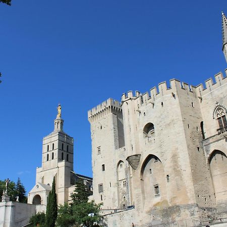 Le Petit Avignon - Chambres & Appartement A Deux Pas Du Pont D'Avignon Et Du Palais Des Papes エクステリア 写真