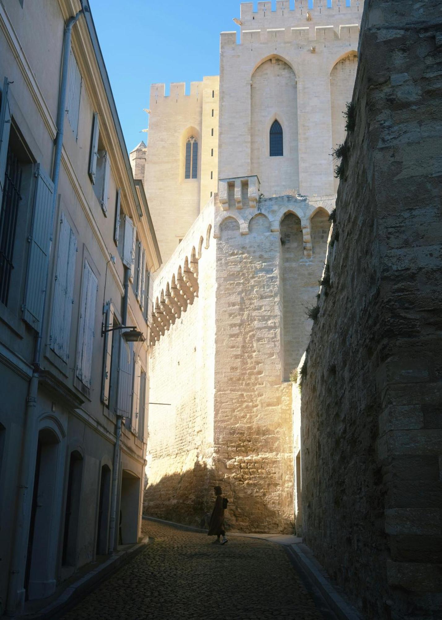 Le Petit Avignon - Chambres & Appartement A Deux Pas Du Pont D'Avignon Et Du Palais Des Papes エクステリア 写真