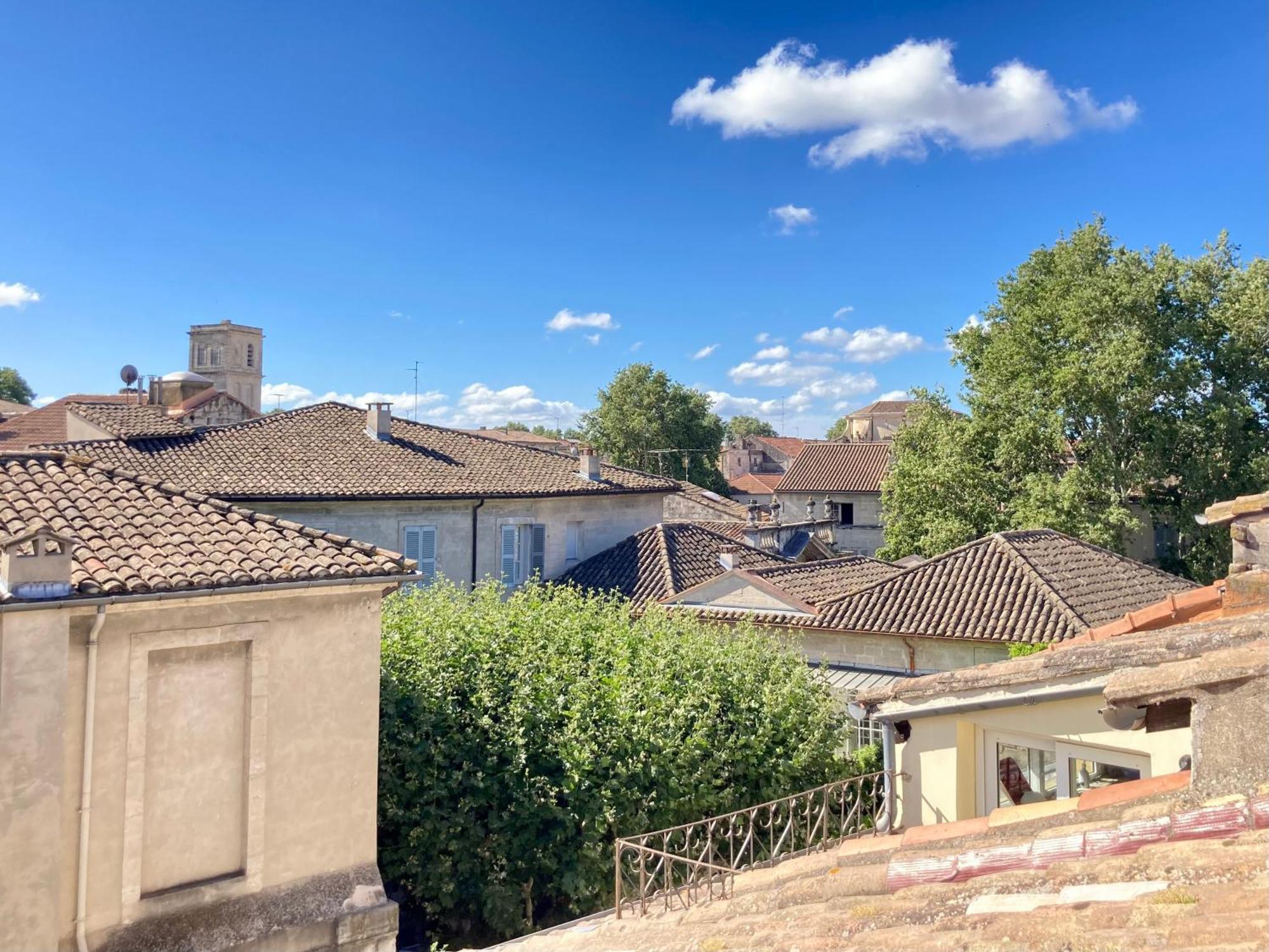 Le Petit Avignon - Chambres & Appartement A Deux Pas Du Pont D'Avignon Et Du Palais Des Papes エクステリア 写真